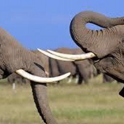 Profile Picture of Brendon Jordan (@jordan_brendon) on Twitter