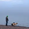 Profile Picture of Gary Hansson (@garyhansson) on Tiktok