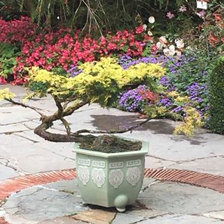 Profile Picture of Liz Mayers (@liz.mayers.1) on Facebook