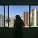 Profile Picture of Amanda (@amandadobashi) on Pinterest