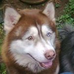 Profile Picture of Adrian Meyer (@adrian.meyer.5011) on Instagram