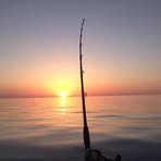 Profile Picture of Lisa Hanscom (@Lisa-Hanscom) on Facebook