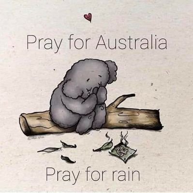 Profile Picture of David Vannoy (@DavidVannoy11) on Twitter