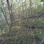 Profile Picture of Devon Heath (@devon_heath21) on Instagram