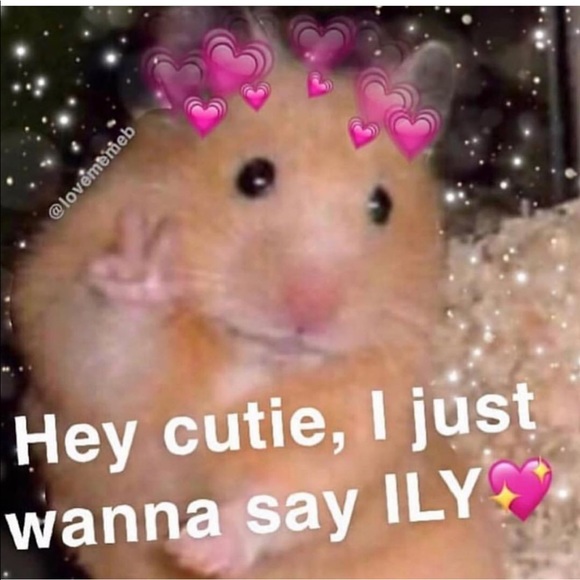 Profile Picture of Ariana Brezee (@ariana_brezee) on Poshmark