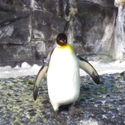 Profile Picture of Jacob Glaser (@15dotJpg) on Twitter