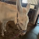 Profile Picture of Julia Holzinger (@juli.holz.123476) on Facebook