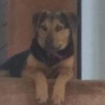 Profile Picture of Jason Trenholm (@jasontrenholm001) on Instagram