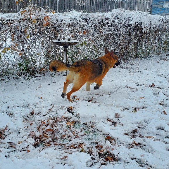 Profile Picture of Mya grace Rieber (@rieber21) on Poshmark