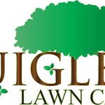 Profile Picture of Jimmy Quigley (@quigleyslawncare) on Instagram