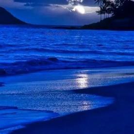 Jose Cancio - Twitter Profile Picture of Jose Cancio (@z_cancio) on Twitter