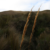 Profile Picture of Jacob Schwarz (@jakeschwarz) on Youtube