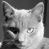 Profile Picture of Gordon Wagner (@x76) on Pinterest