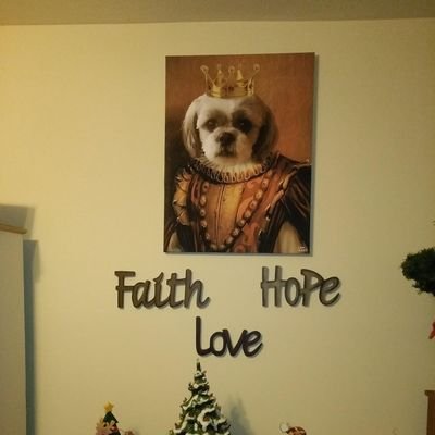 Profile Picture of Kim Ransom (@KimRans63034578) on Twitter