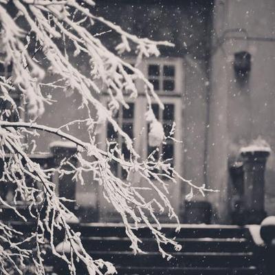 Profile Picture of Annealing_911 (@911Annealing) on Twitter