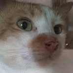 Profile Picture of James Padilla (@yudee.abdula) on Facebook