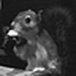 Profile Picture of Darryl Ryan (@crm211b) on Flickr