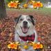 Profile Picture of Lisa Hepler (@lisa.hepler.5) on Facebook