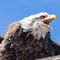Profile Picture of Patrick Rausch (@patrick.rausch.52) on Facebook