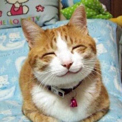 Profile Picture of Joe Barbaroon Twitter