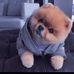 Profile Picture of Matthew Ng (@matthew.ng.1466126) on Facebook