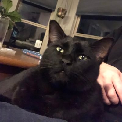 Profile Picture of Steve Heuer (@Steve_Heuer) on Twitter