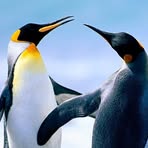 Profile Picture of Clarence Cogdell (@Clarence-Cogdell) on Facebook