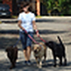 Profile Picture of Marta Cimaglia (@Marta Cimaglia) on Flickr