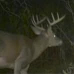 Profile Picture of Joseph Baier (@Joseph-Baier) on Facebook