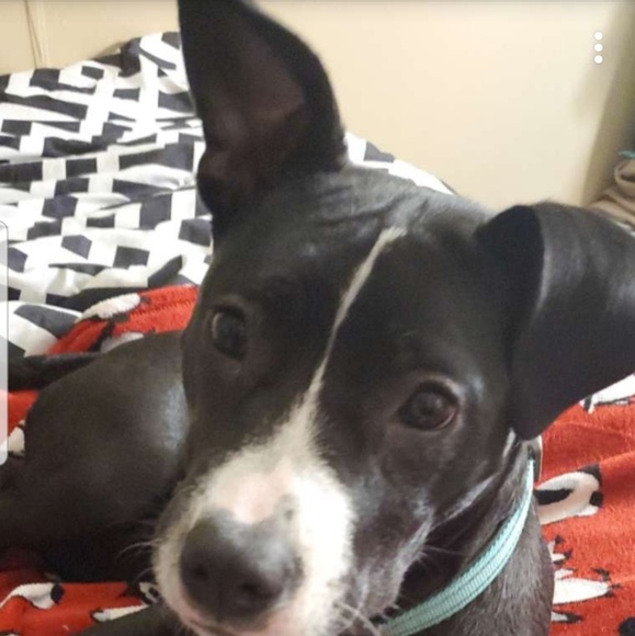 Profile Picture of Destiny Hannick (@destinyhannick) on Poshmark