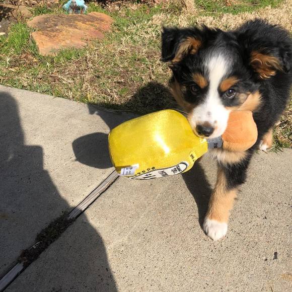 Profile Picture of Kaylee Duree (@kayleeduree2) on Poshmark