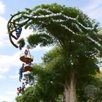 Randy Mak - Facebook Profile Picture of Randy Mak (@Randy-Mak) on Facebook