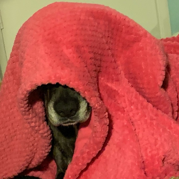 Profile Picture of Sally Youdale (@sallyclair) on Poshmark