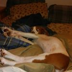 Profile Picture of Jake Marcotte (@13marcottej) on Instagram