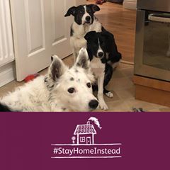 Profile Picture of Janet Gough (@janetgough) on Tiktok