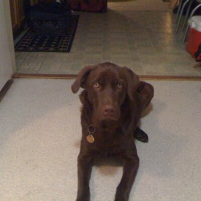 Profile Picture of Jeff Glasgow (@pdub452) on Twitter