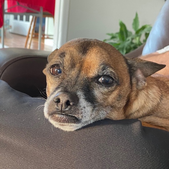 Profile Picture of Heather Burgey (@hburgey) on Poshmark