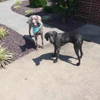 Profile Picture of Tommy Ransom (@TommyRansom6) on Twitter