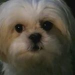 Profile Picture of Darrell Lockhart (@lockhartdarrell) on Instagram