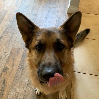 Profile Picture of Jeri.thames (@JeriThames) on Twitter