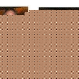 Profile Picture of Robert Forenza (@367530644) on Myspace