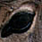 Profile Picture of ahed izhiman (@Ahed izhiman) on Flickr