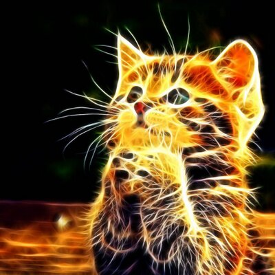 Profile Picture of Miriam Köhler (@KohlerZweig) on Twitter