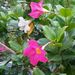 Profile Picture of Carla Ellman (@caspercm) on Pinterest