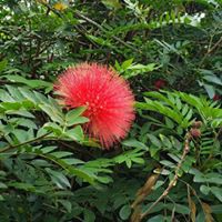 Profile Picture of Tami Faulkner (@tami-faulkner-1) on Quora