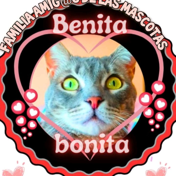 Profile Picture of berlina73 (@berlina73) on Tiktok