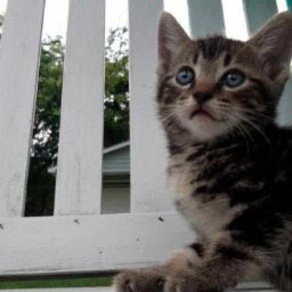 Profile Picture of Carley Hudgins (@carleyhudginsc) on Poshmark