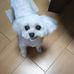Profile Picture of Hide Coco (@hide.coco.1) on Facebook