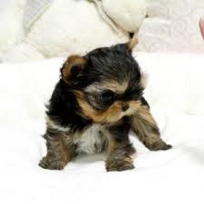 Profile Picture of Cory Vick (@CoryVick1) on Twitter