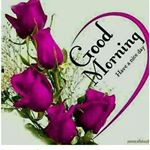 Profile Picture of __vora __ nishith__88 (@__vora__nishith__88) on Instagram